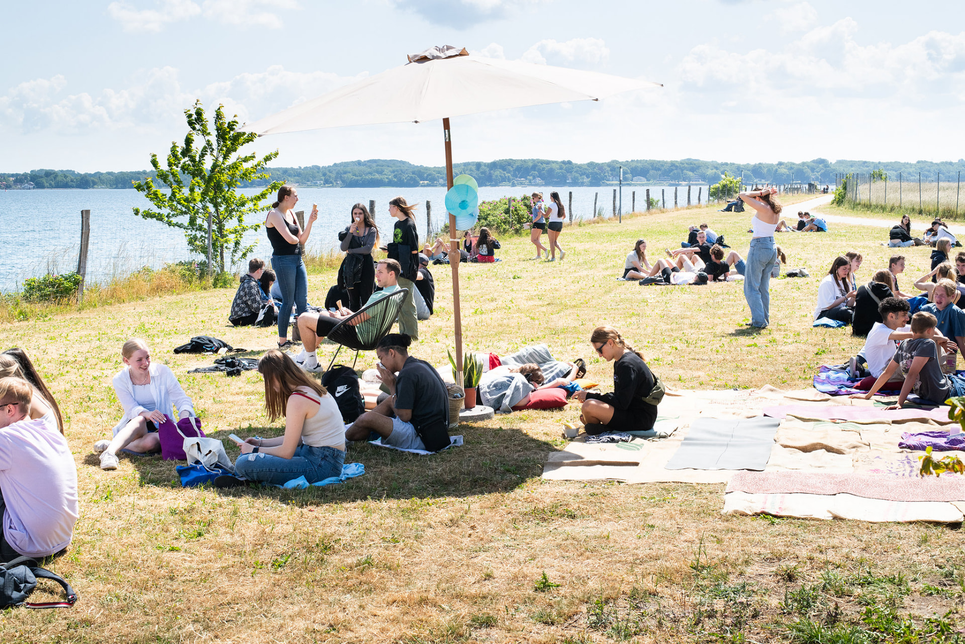 Viele Menschen verbringen gemeinsam einen Sommertag auf der Wiese am Wasser